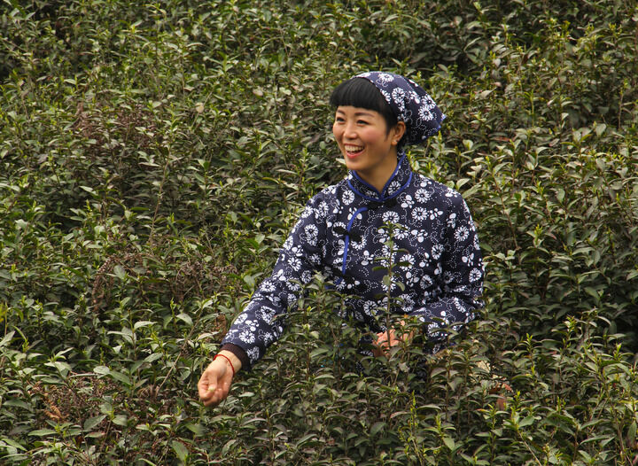 百丽官·魅影